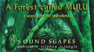 A Forest Called Mulu - A Search For The Unexplored (1997)