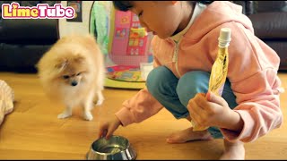 [30분] 라임의 키즈카페 인기영상 모음 indoor playground family fun | LimeTube toy review