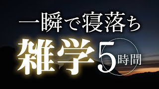 【睡眠導入】一瞬で寝落ち雑学5時間【合成音声】