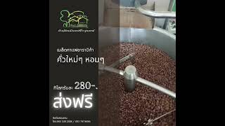 กาแฟดอยช้าง คั่วใหม่หอมๆ เมล็ดกาแฟอาราบิก้า100%