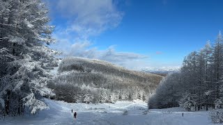 姉弟で入笠山🗻⛄️