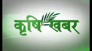 लगातारको वर्षाका कारण बजारमा तरकारी भित्रिन छाडेको व्यापारीको भनाई