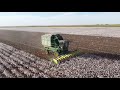 2021 cotton harvest