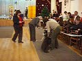 20.12.09 выставка класс щенки суки 030