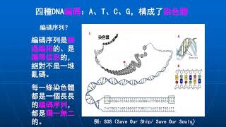 人從哪裡來？DNA親子鑑定告訴你！ 第1集： 什么是DNA？