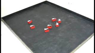 Flocking Control of a Robotic Swarm