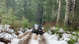 Jeep Renegade on Hood Raiser in the Tillamook Forest