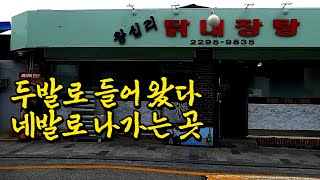 안주 먹는 순간 해장이 되서 정신 못차리는 집