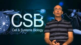 CSB Video Profiles: Faculty (Professor John Peever)