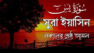 সুন্দর সকালের জন্য আবেগময় কন্ঠে শুনুন সূরা ইয়াসিন। প্রতিদিন সকালের আমল। By Alaa Aqel