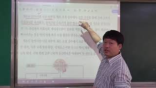 생명과학1) 14강 항상성 조절