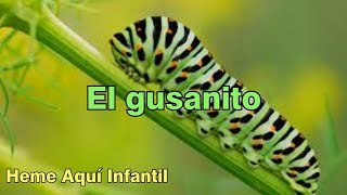 El gusanito - Heme Aquí Infantil