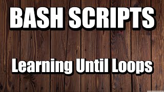 Bash Learning Until Loops