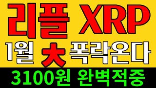 리플 XRP 코인 - 3100매수가적중 비트코인1월 -5%이상 무조건 온다!!  알트코인 맛집 대박코인 고래