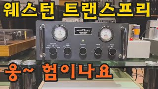 웨스턴트랜스프리 오버홀 Western Electric TransPreamplifier