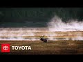 Battery Life After Cars | The Toyota Effect | Toyota