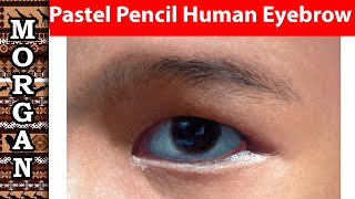 Pastel Pencils Drawing a Human Eyebrow - Realism