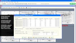 PDQuest™ Software Tutorials — Experiment Summary Tools for Spot Rematching
