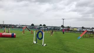 Enid Agility SKC