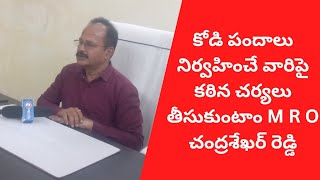 కోడి పందాలు నిర్వహించే వారిపై కఠిన చర్యలు తీసుకుంటాం M R O చంద్రశేఖర్ రెడ్డి