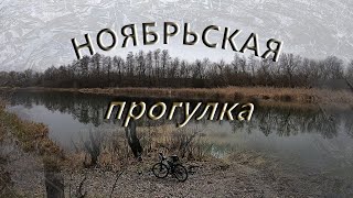 Ноябрьская велопрогулка. Гряземес вдоль речки.