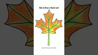 How to Draw a Maple Leaf