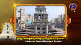 Srilakshmi Venkateswaraswamy Varshika Brahmotsavalu || Devuni Kadapa || Jan 29 To Feb 06 || SVBC TTD