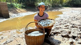 Tempo de seca, fizemos a limpeza ecológica do açude e garantimos peixes para muitos dias