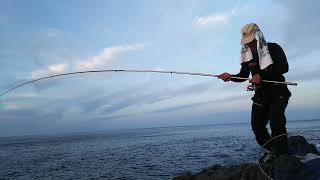 磯釣り 伊豆大島 オオツクロのメジナ