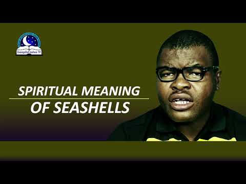 What does the shell symbolize in Christianity?
