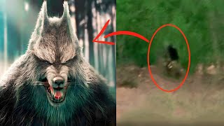 कैमरे मे कैद कुछ असली भेड़िया मानव | real werewolf caught on camera | caught on tape | werewolves