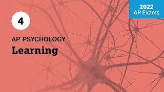 2022 Live Review 4 | AP Psychology | Learning