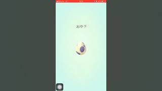 ポケモンGO❗️10kmたまご3連ちゃん⁉️ バグって2連(^_^*)