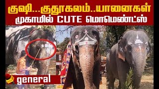 யானைகள் பிரியாவிடை..கோவை யானைகள் முகாம் ! | Cute elephant Video