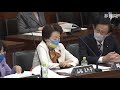 参議院 2022年04月13日 憲法審査会 29 山谷えり子（自由民主党・国民の声）