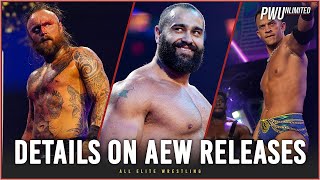 New Details On Recent AEW Releases