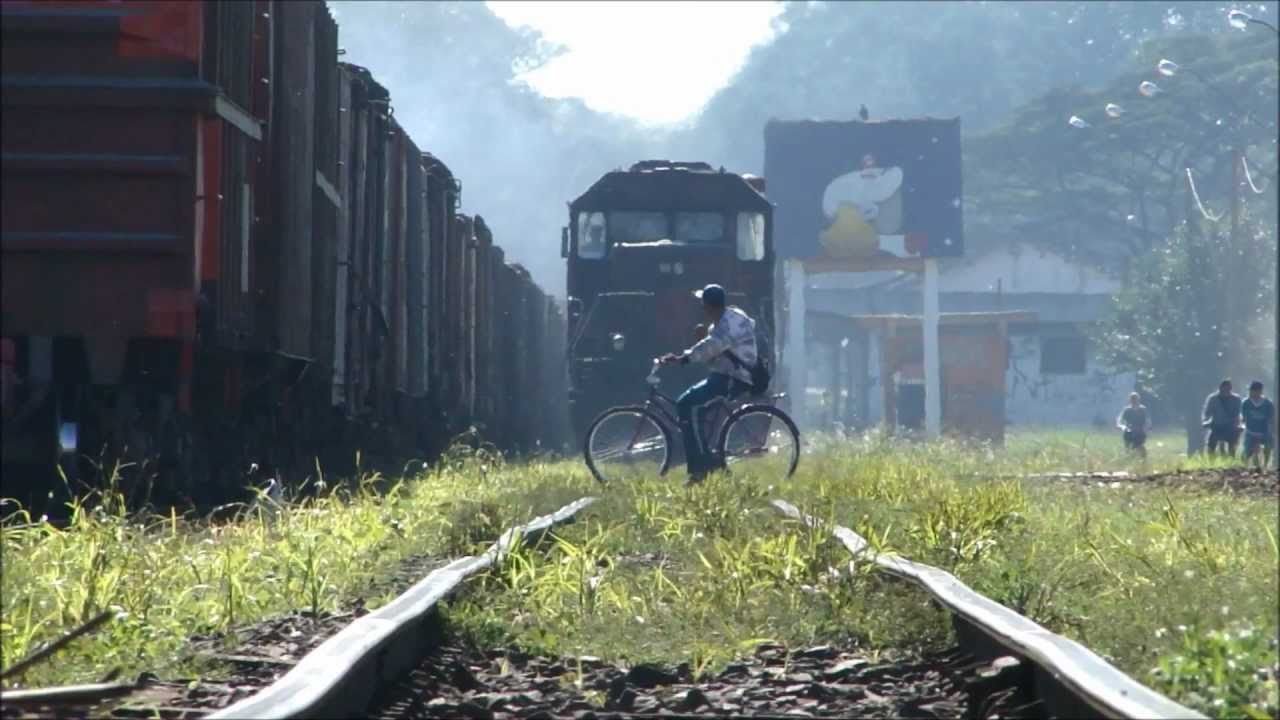 Trem Trens Trains Melhores Momentos Farina Youtube