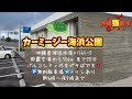 【沖縄猫散歩】初めての砂浜タッチに大興奮！最後に猫がお手します！