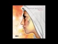 Radical Distortion feat. Radical Project - Universe