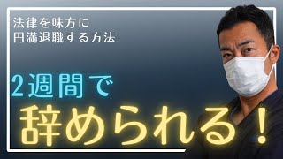 【看護師退職の自由】法律に守られた円満離職ステップ