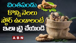 చింతపండు కొన్ని నెలలు స్టోర్ ఉండాలంటే ఇలా ట్రై చేయండి  || Tamarind || Indian Kitchen