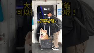 勇勇：謝謝東琉線聯營處的邀請❤️讓我搭船到小琉球旅遊！聯營處的船隊真的讚讚去程跟回程搭乘不同船班本汪實測！完全沒暈船！穩穩噠👍🏻🐾#小琉球 #友善動物 #東琉線交通船聯營處 #寵物旅遊