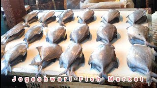 Jogeshwari Fish Market | Masali Bazaar