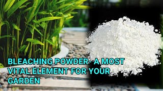 BLEACHING POWDER- A MOST VITAL ELEMENT FOR YOUR GARDEN