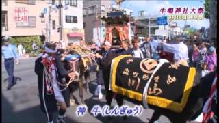 牛島神社公式　神幸祭稚児行列