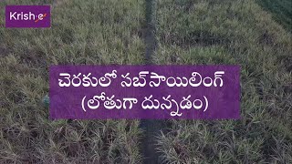 చెరుకులో సబ్‌సోయిలింగ్ I Sub soiling in sugarcane