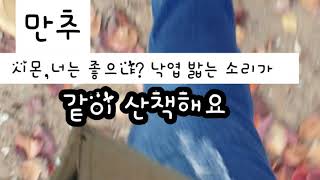 #마지막 잎새 #만추 #추녀 #프랑스 시인 레미 드 구르몽