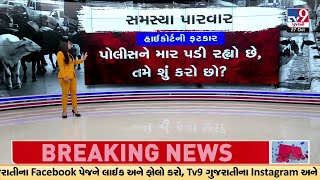 Gujarat High Court ની AMC અને Police ને ફટકાર; જાણો GFX દ્વારા તમામ માહિતી | Ahmedabad | TV9News