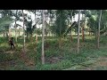 3.acre 4 acre carab agriculture farmland for sale in Malavalli 16.km