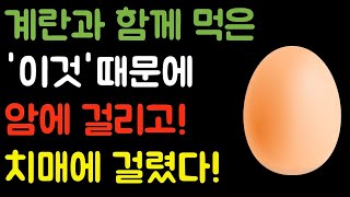 계란과 절대로 함께 먹지 마세요! 암과 치매에 걸릴 수 있습니다! 계란과 최악의 궁합인 3가지 음식과 최고의 궁합 음식 3가지